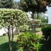 DSC05891